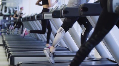 Legs of unrecognizable people running on the treadmill in the fitness studio. Runners in the gym