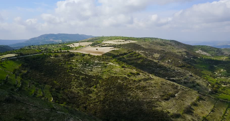 landscape on the island of Cyprus. Olives and grapes.	
