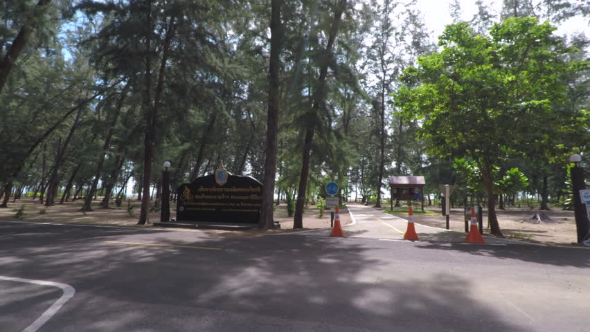 Front Driving Plate : In Pranburi National Reserve Forest Park , Prachuarp Khiri Khan Province , Thailand