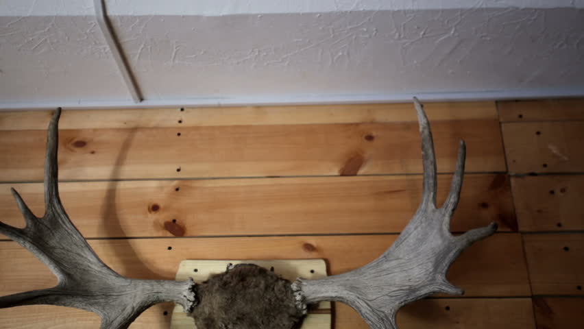 Deer horns hang on the wall inside the grill bar