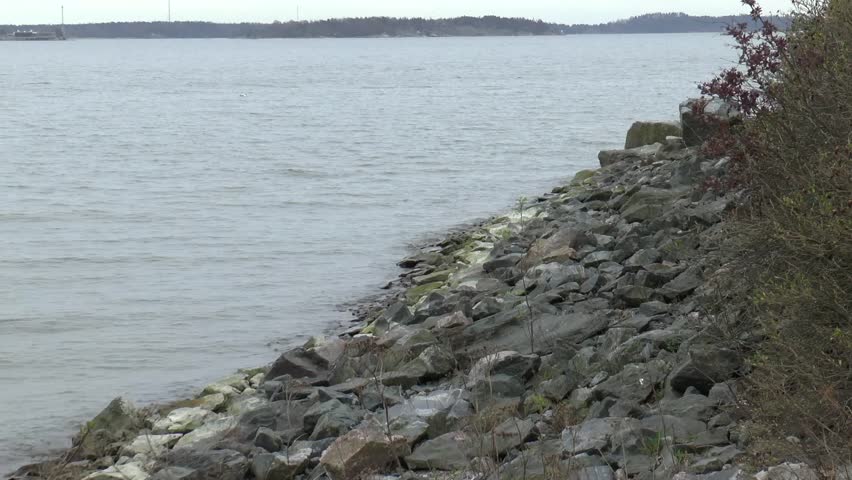 Sea shore with coming waves