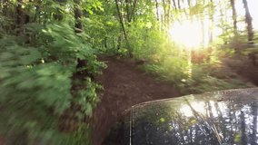 
Green Car goes on  summer   road in wood . POV clip

