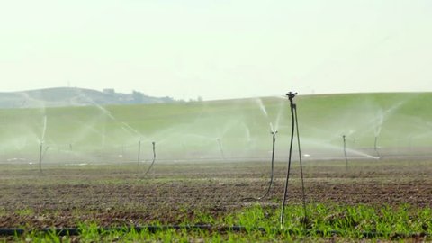 Sprinkler Irrigation With Turbines In Stockvideos Filmmaterial 100 Lizenzfrei Shutterstock