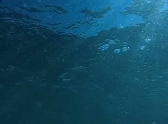 Underwater Ocean 240fps HS30 Slow Motion