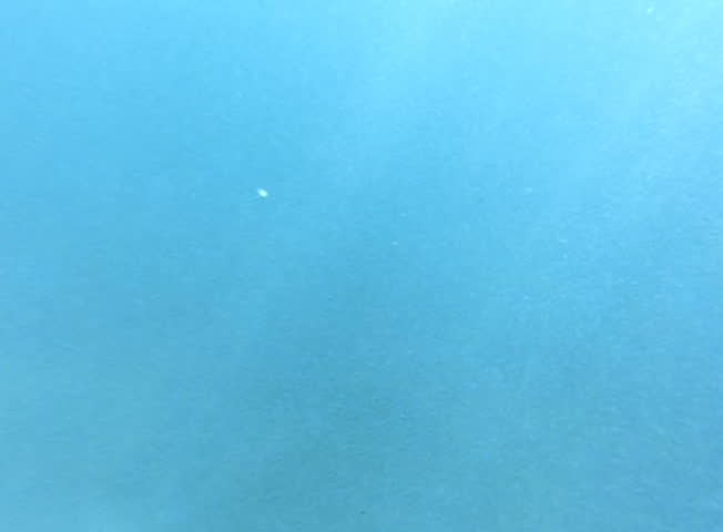 Underwater Ocean 240fps HS04 Slow Motion