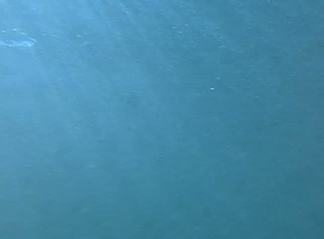 Underwater Ocean 240fps HS01 Slow Motion