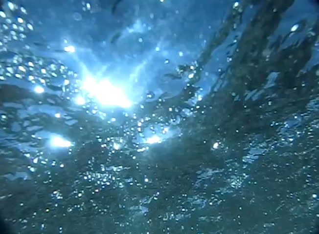 Underwater Ocean 240fps HS11 Slow Motion