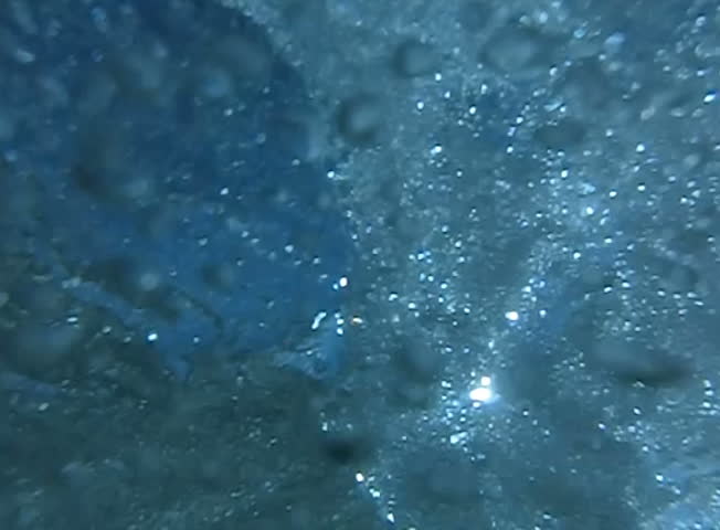 Underwater Ocean 240fps HS33 Slow Motion