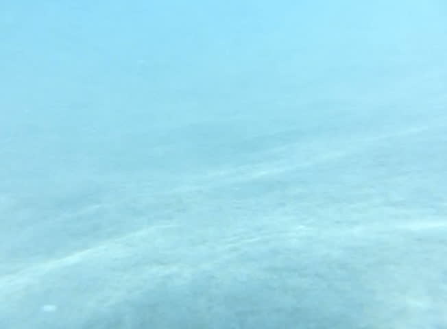 Underwater Moonlight Ocean 240fps HS Slow Motion