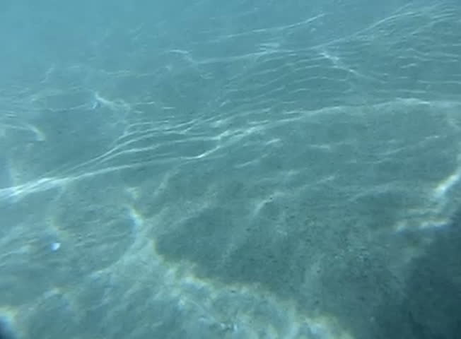 Underwater Ocean 240fps HS24 Slow Motion