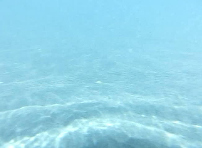 Underwater Ocean 240fps HS25 Slow Motion