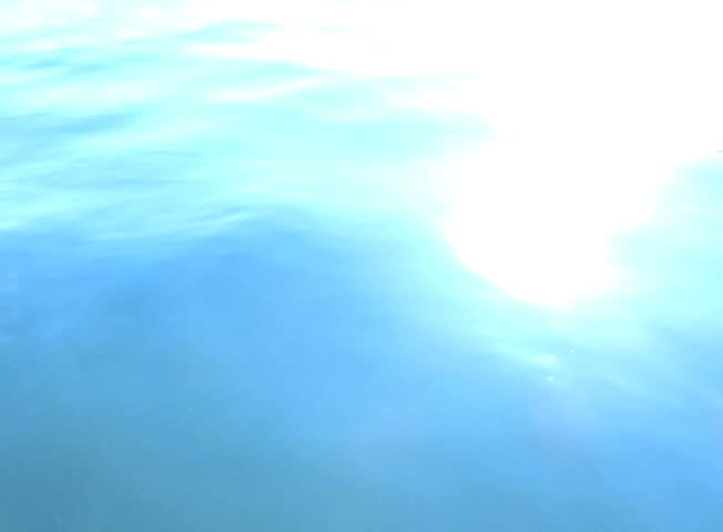 Underwater Ocean 240fps HS23 Slow Motion