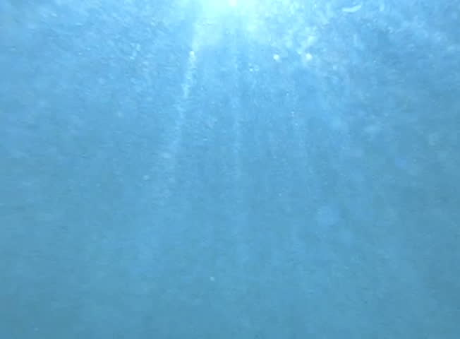 Underwater Ocean 240fps HS02 Slow Motion