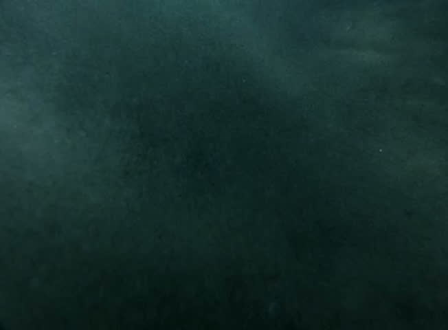 Underwater Ocean 240fps HS15 Slow Motion