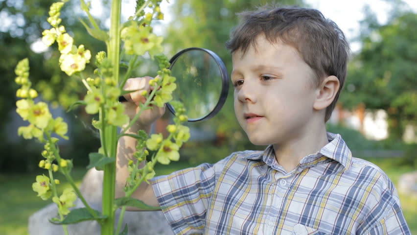 Happy little boy exploring nature with magnifying glass at the day time