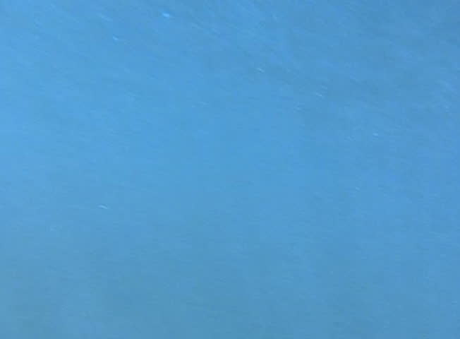 Underwater Ocean 240fps HS31 Slow Motion