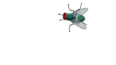 Fly Cartoon Vector Fly Cartoon On Stock Vector (Royalty Free ...