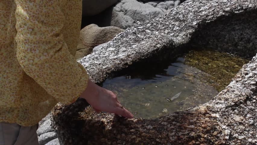 Water from a stone. Crystal clear rain water. Nature miracle.