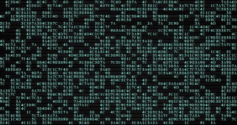 Boro Fabric Patch Kantha Vector Texture Stock Vector (Royalty Free ...