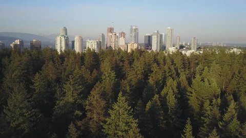 Metrotown City viewed from Central Park. Taken from an aerial perspective in Burnaby, Greater Vancouver, British Columbia, Canada, during a sunny evening.