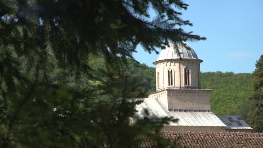 Church tower through the branches of a tree.