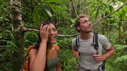 Hikers walking in rain forest jungle. Hiking couple trekking through dense rainforest nature on Maui, Hawaii, USA. Healthy young sporty multiracial couple living active lifestyle. Stockvideó