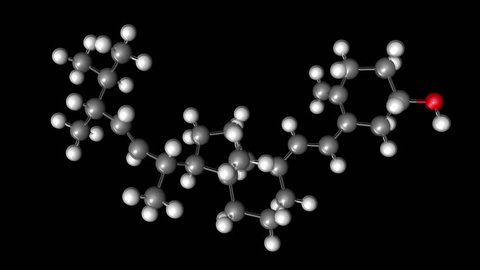 A molecular ball and stick model of Vitamin D