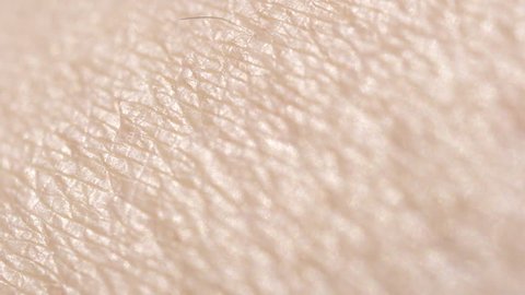 CLOSE UP MACRO DOF: Detail of dry Caucasian skin. Shaved woman's legs. Dry skin after depilation and waxing. Hairless skin pattern
