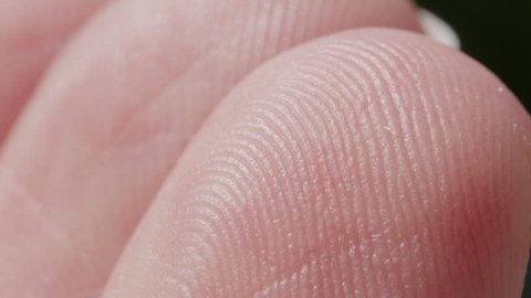EXTREME CLOSE UP MACRO: Detail of fingerprint on Caucasian index finger. White person's skin pattern and texture on fingertips. White man's finger prints