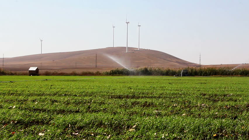 Green wheat field with irrigation & wind turbines.