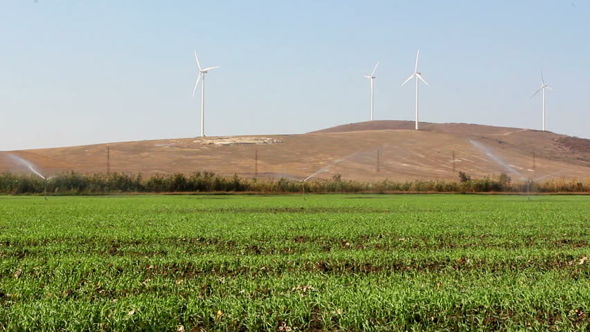 Green wheat field with irrigation & wind turbines.