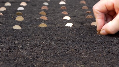 Hand planting one penny coins into the soil. Business, investment or profit growth concept 