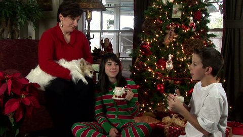 A mother with her two children who are enjoying hot chocolate in front of a lovely Christmas tree Stock Video