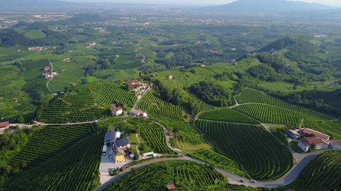 Drone view of Valdobbiadene hills, UNESCO World Heritage. Prosecco country - Cartizze hills - Vineyards ready for harvest