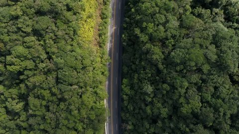 Top View of a Road in the middle of the forest