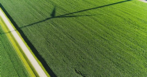 Rural countryside road and wind turbine shadow on green corn field, aerial view