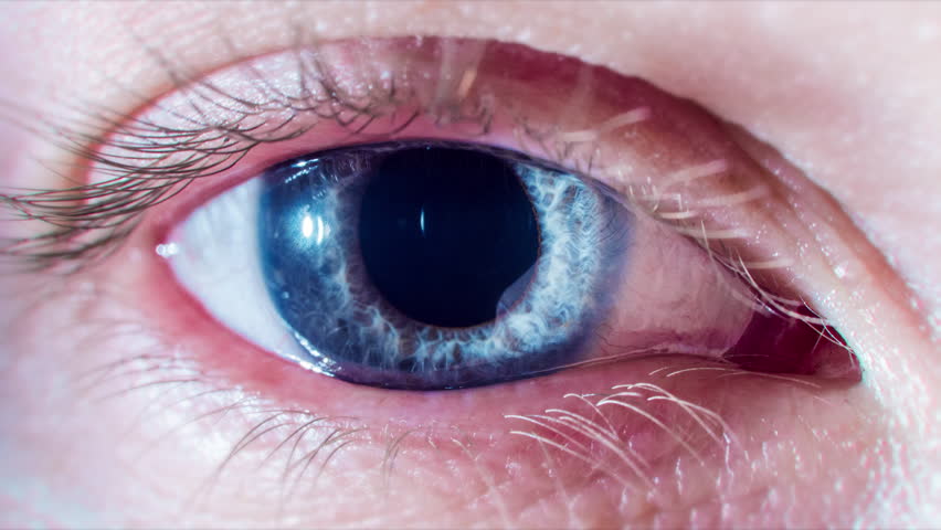 Beautiful Blue Eye Opening Up And Closing As Pupil Contracts And Dilates Macro Close Up Shot 4K Life Existence Concept | Shutterstock HD Video #28700140