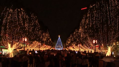 Christmas lights in Japan