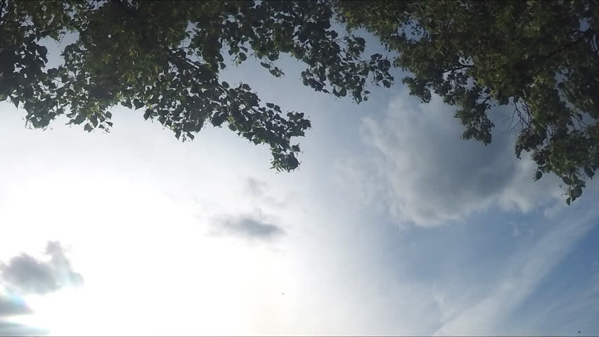 Pond In Park and clouds On Summer Day Timelapse