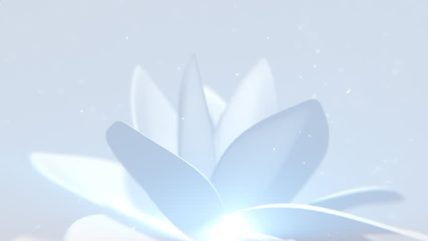 White Flower Background | Shutterstock HD Video #28719913