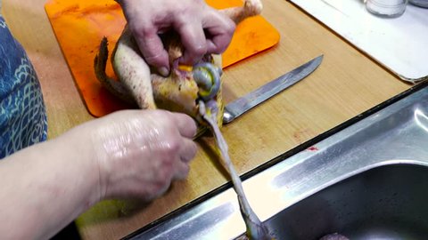 The cook cuts out the gut bird. The process takes place in the home kitchen. She uses an orange cutting board and a sharp knife with a wooden handle. Guts stretch from a dead cut body like a tail