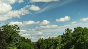 Summer day and clouds in the sky timelapse. Beautiful green trees. Nature landscape