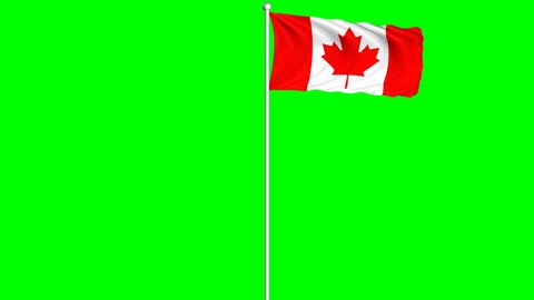 Canada Flag Waving and Fluttering on Wind Loopable Animation Green Blue Screen Alpha Matte Channel
