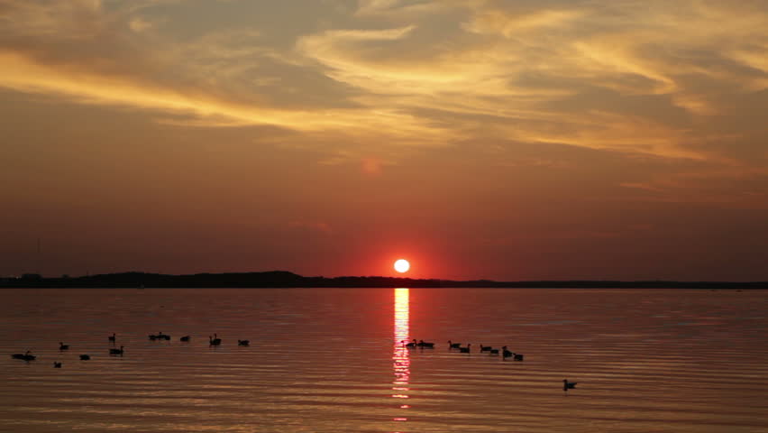 Sunset Lake with Geese - Glowing clouds of a deep orange sunset reflect in the water as silhouetted geese float through the ripples and one bird swoops in, flying across the frame. Madison, Wisconsin.
