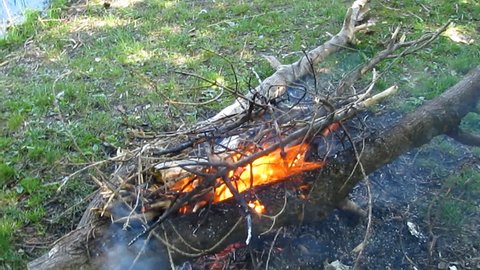 A bonfire from dry branches burns in the daytime in the forest on the glade - 19s. A man throws dry firewood on a fire and walks past, video with sound