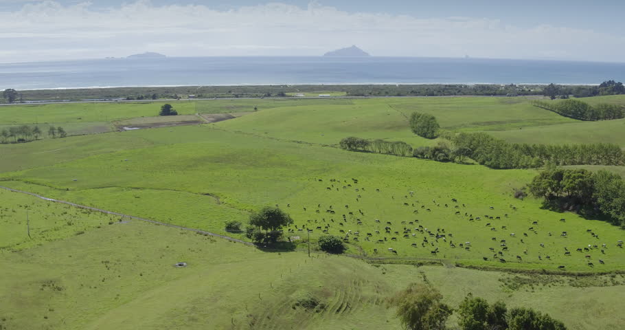 Aerial flying over farm land in Bream Bay, northland, New Zealand