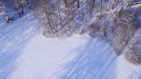 Aerial over beautiful snow covered forest in winter sunset - Drone view over trees and winter landscape