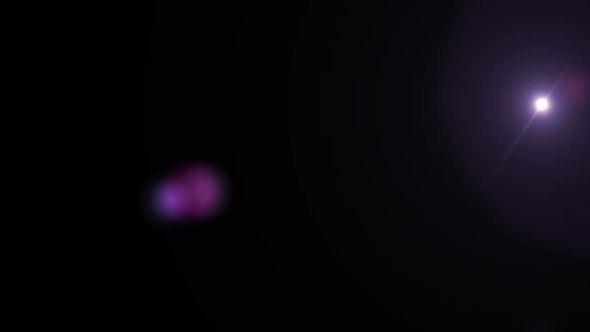 Shutterstock Video