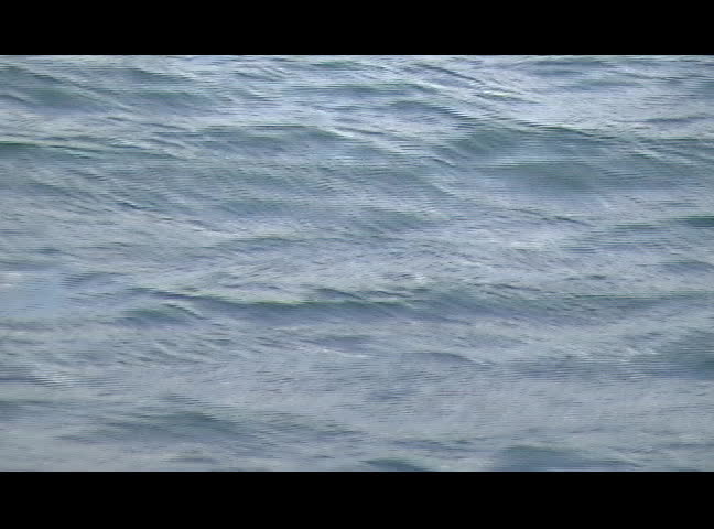 A background of small cresting ocean waves.