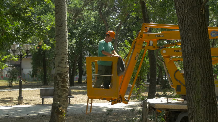 Logger in work suit lifted up in the bucket of cherry picker truck between tall trees to cutting treetops in the park at sunny summer day, tracking shot, tilt up,exterior scene, concept deforestation. Royalty-Free Stock Footage #28860370